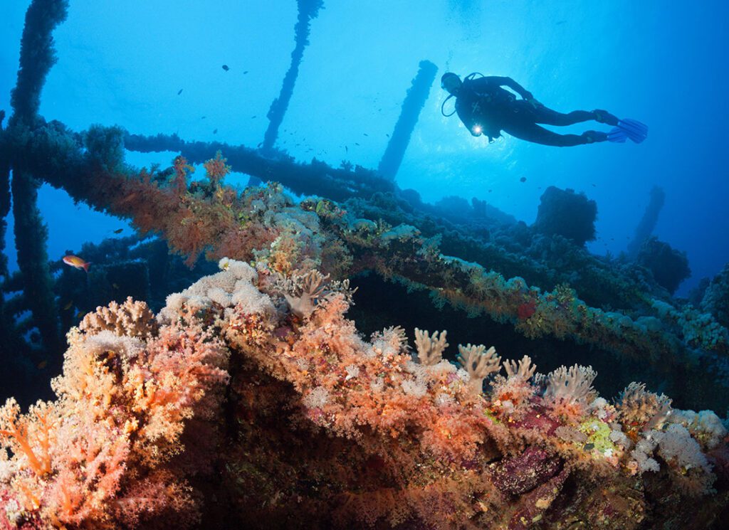 Diving Safar Egypt Liveaboard