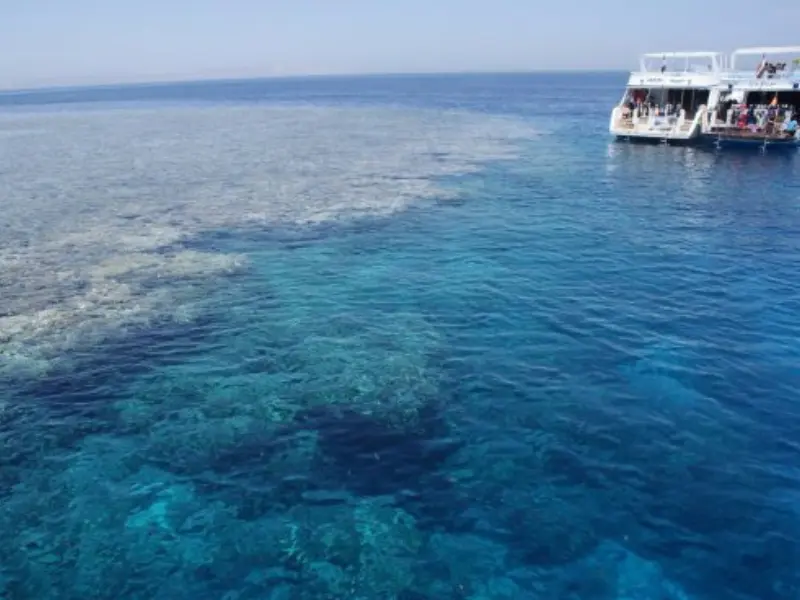 Gota Abu Ramada Reef