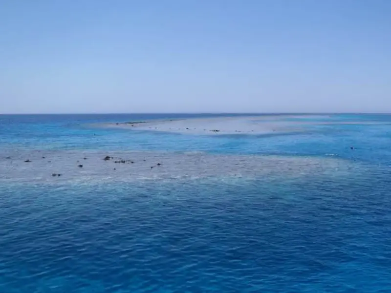 Sha’ab el Erg Reef