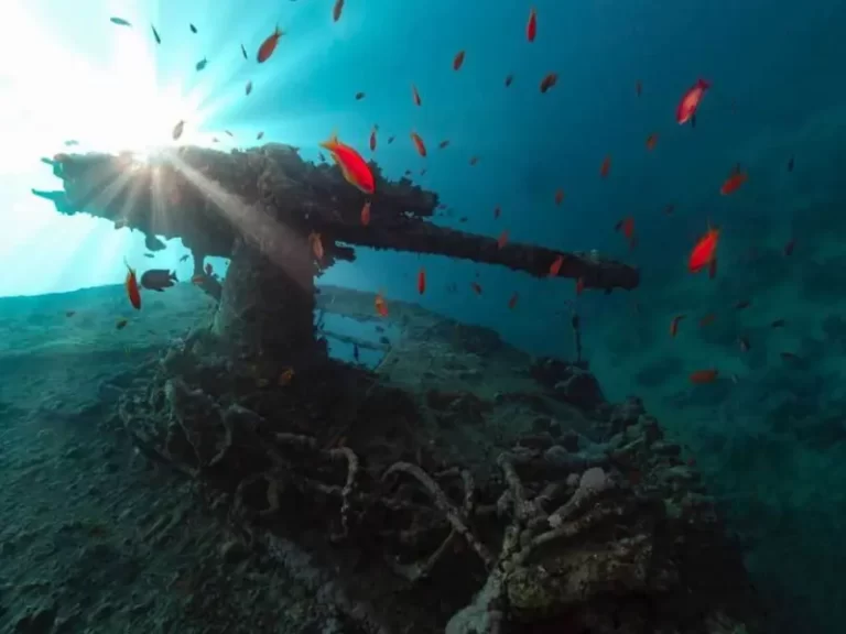 Bluff Point Wreck