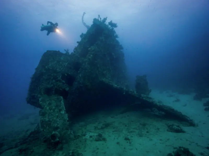 Rosalie Moller Wreck