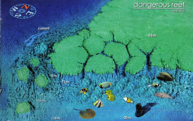 Dangerous Reef