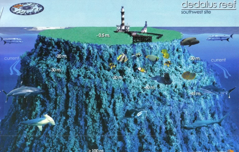Dedalus Reef (south-west)