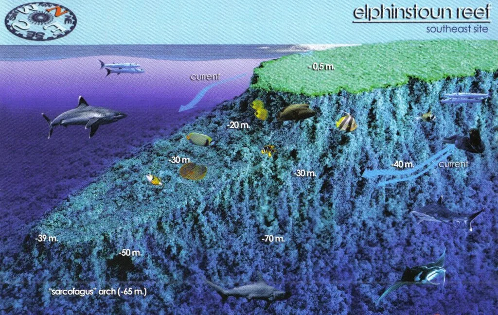 Elphinstone Reef