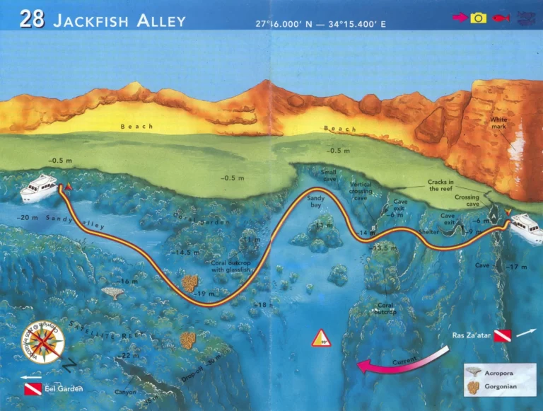 Jackfish Alley