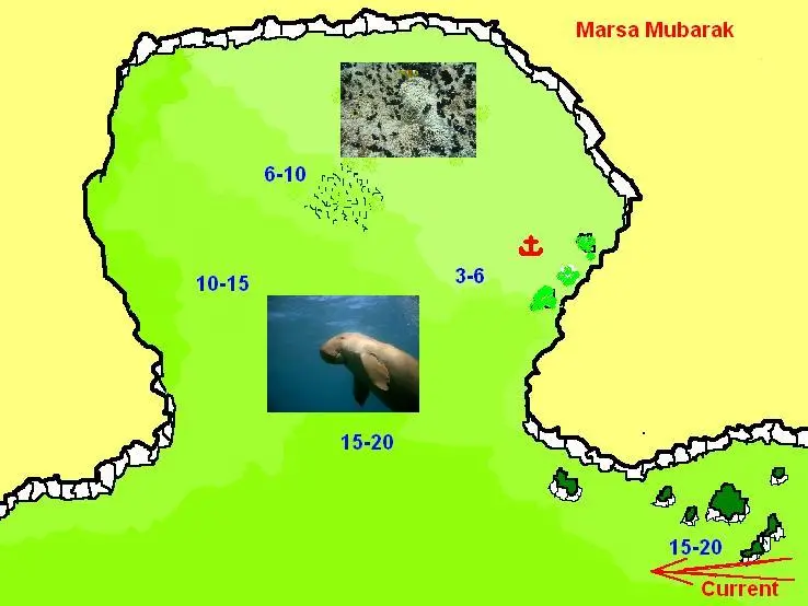 Marsa Mubarak Reef