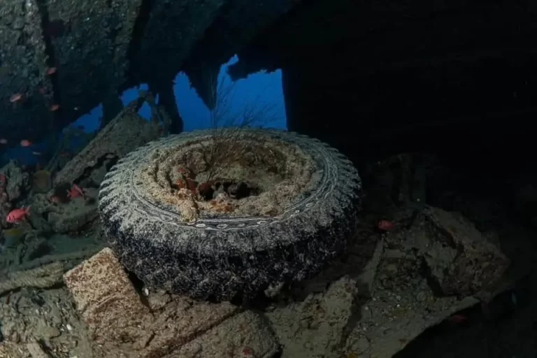 SS Thistlegorm