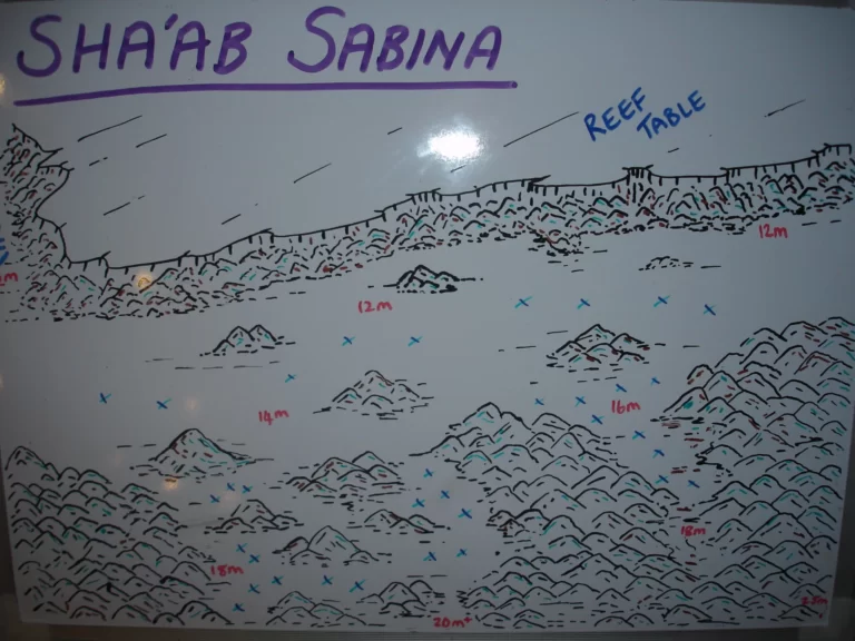 Sha'ab Sabina