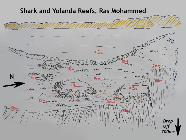 Shark and Yolanda Reefs