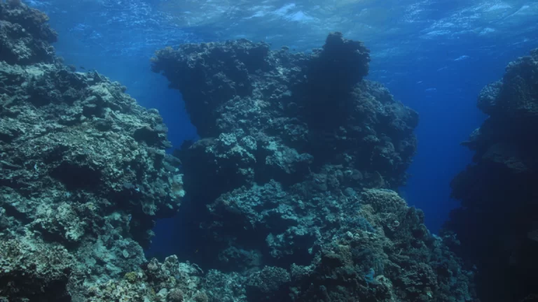 Malahi Dive Site