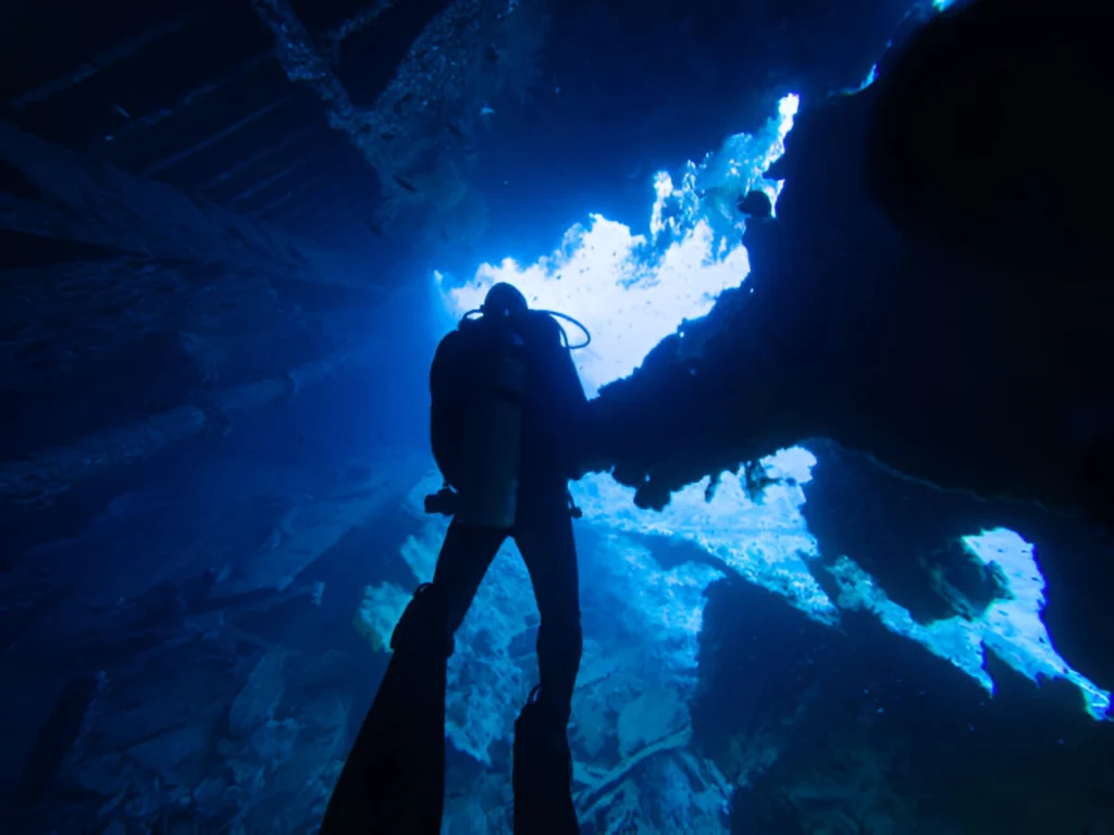 Wreck Diving in the Red Sea: A Deep Dive into History