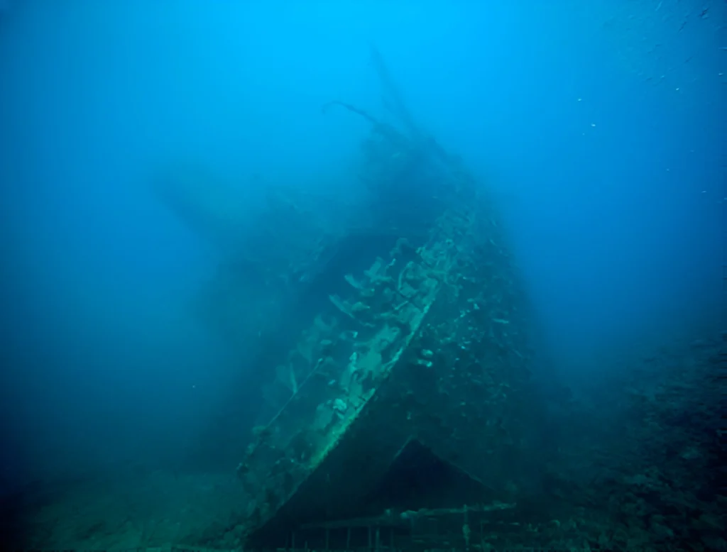 Giannis D Shipwreck Red Sea Egypt