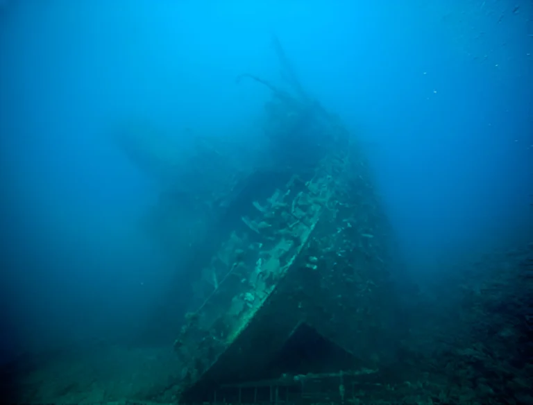 Giannis D Shipwreck Red Sea Egypt